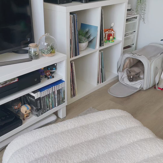 rog ally case with stand